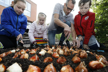 Antoniusschool plant duizend bloembollen