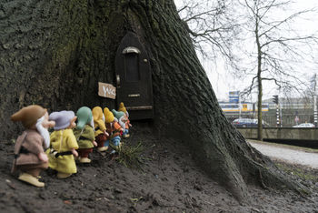 Bejaarde kastanje gaat verder als sprookjesboom