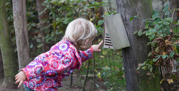 Partou, Spelen in 't Groen