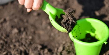 Groot natuurlijk speelgebied in gemeente Stichtse Vecht