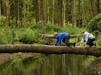 Avontuurlijk belevenissenbos in Lelystad