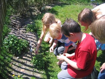 Duurzaamheidseducatie op de natuurspeelplek