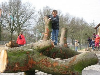 Natuurspeelplek in Westeraam krijgt vorm