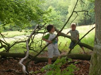 Cool Nature speelplekken in Gelderland