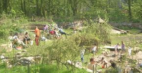 Ontmoetingsdag Spelen in de Rotterdamse Natuur